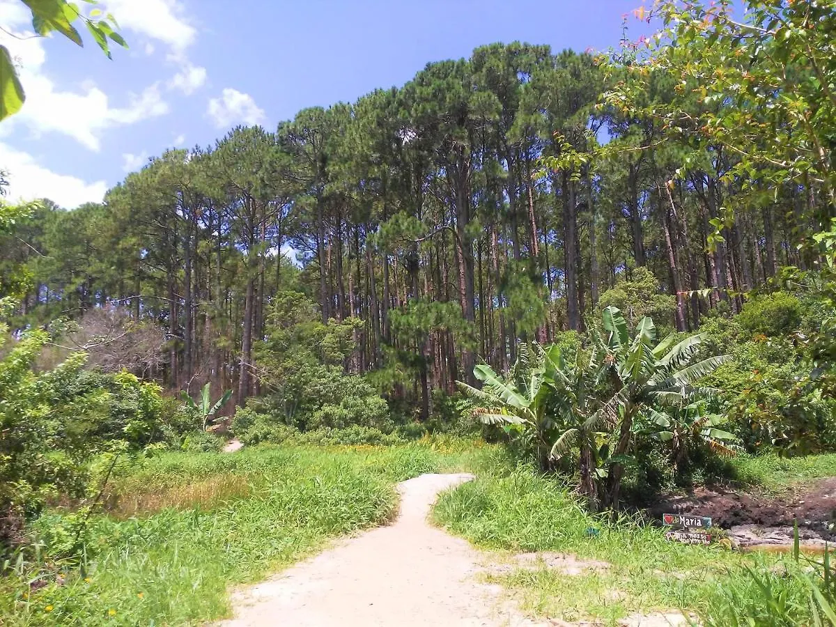 Florianópolis Mocamba Lodge Conteiner-1 بيت ضيافة